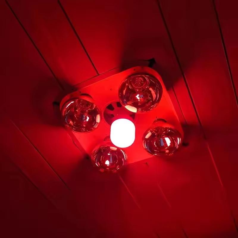 Lighting Christmas Decor - 새로운 고출력 레드 LED 전구 E27/B22